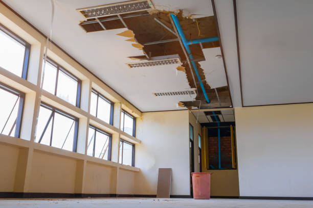 Best Fire Damage Restoration  in Dunean, SC