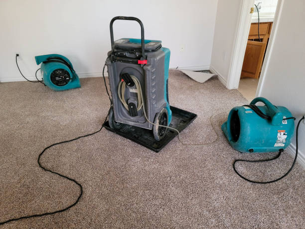 Best Water damage mitigation services  in Dunean, SC