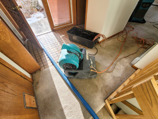 Local water damage restoration in SC