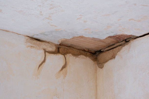 Best Carpet water damage restoration  in Dunean, SC