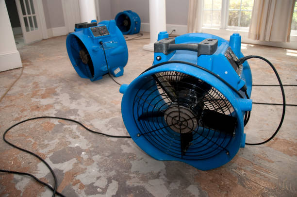 Professional Water damage restoration in SC