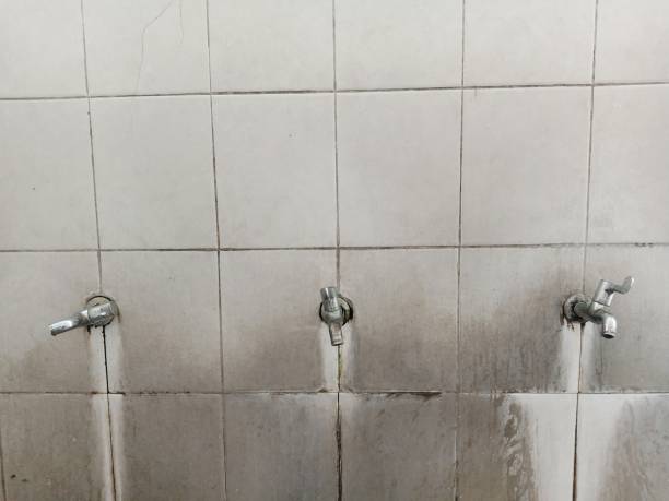 Best Basement water damage restoration  in Dunean, SC