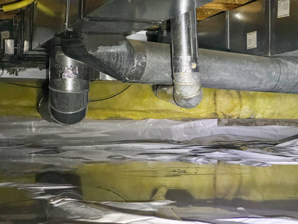 Best Flooded house restoration  in Dunean, SC